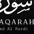 Surah Al Baqarah Sheikh Raad Mohammad Al Kurdi Inner Peace Relaxed Recitation