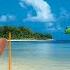 The Finger Family Angry Birds New Version Simple Animation