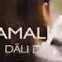 Amalia Dali Dali Mp4