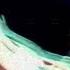 Nine Inch Nails Closer Slowed Reverb
