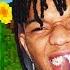 Post Malone Swae Lee Sunflower MINECRAFT PARODY