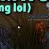I Tried Starting A Clan And It Ended Up In Shambles Warrior Cats Ultimate Edition