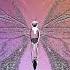 Ajaw Soul Never