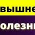 99 не знают что болезни возникают из за Этого Золотые советы ученого Леонида Маслова