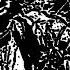 SATANIC VOMIT Vomit Complete FULL ALBUM