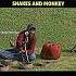 Snake And Monkey In Cricket