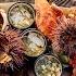 A Forager S Feast Food Tastes Better Outside Ep 05