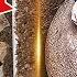 5 Great Treasures Found By Treasure Hunters Incredible Treasure Hunt