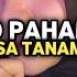 DJ Su Jauh Sa Tanam Slowed DJ Nan Ko Paham Slowed Endhy Fvnky Viral TikTok 2025