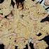 TripleS 트리플에스 LOVElution Girls Capitalism Teaser Ivine Ver
