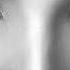 SYML Clean Eyes Acoustic
