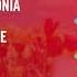VOCAL TRANCE Alan Morris La Antonia Sue McLaren Nowhere Left To Hide BiXX Remix LYRICS