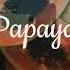 Papaya Tubebackr