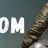 Разговор с читером в PUBG Читер Русская озвучка