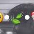 Bo Lsam Yor Bo Laman Do St Bo Lolmayman Speedup Karaoke Uzmuz Lyrics Yozuvlivideolar Trend