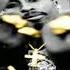 2Pac Snakes Fakes HD 2021