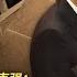 维基解密文件中的李克强 十七大权力角斗场 李克强为什么会败给习近平 下 习近平 十七大 胡锦涛 李克强 俞可平 维基解密 美国大使馆 王局拍案20240813