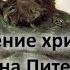 Илья Муромец или Илия Разоблачение христианства АЗ БУКА ИЗТИНЫ РУСЬ 46