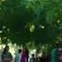 Gull Panra New Song 2021 Aish Kawa Top Pashto Song