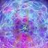 Shaman S Dream Love The World Awake Art I Am Remix