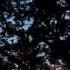 Miroslav Vrlik Another Night Mark Lukas Remix Music Video Midnight Aurora