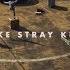 Stray Kids I Am YOU Teaser Video 1