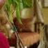 Poms Community Narration TV Commercial Own It Now On Digital HD Blu Ray DVD