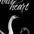 Scorpions Follow Your Heart 432Hz