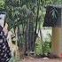 Nam S Friend Was Shocked To See Her Lover Happy With Another Girl