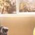David Rolas Ft Colombia La Rumba Nueva VIOLENT VOICE EDIT