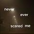 Your Beauty Never Ever Scared Me Tik Tok