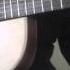 Holy D Guitar Fingerstyle Natalia Doco