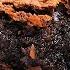 The Best Fudgy Brownies Recipe Simple Way Of Making The Perfect Fudgy Brownies