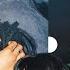 Kodie Shane S Surprise Birthday Party