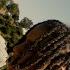 Bloodhound Lil Jeff L A X Official Music Video