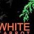 RANKS TRANSFORM AND BOUNCE WHITE CARROT RIDDIM