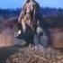 Icehouse Great Southern Land Young Einstein 1988