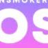 The Chainsmokers Halsey Closer Lyrics