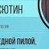 Ученые против мифов 4 6 Николай Васютин О следах древних высокотехнологичных инструментов