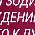 Знаки Зодиака и вождение От худшего к лучшему