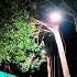 A Woman Accidentally Encountered Street Lights Flashing Together And The Psychedelic Atmosphere