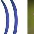 Kookaburra Sound Effect HD