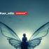 Jasper Forks Like Butterflies Song Shorts Viral Trending Song