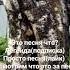 песня мама сшила мне штаны из берёзовой коры