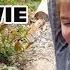 Kid Temper Tantrum Sister Smashes XboxOne The Movie Trailer Created By Daily Easter Eggs