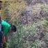 Rope Break Bungee Jumping Accident Shorts Youtubeshorts Youtubetrending