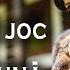 Viorica Macovei Colaj De Joc Si Voie Buna La Zi Mare Am Venit