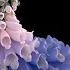 Flume 3