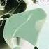 Machine Girl Neon White Full Soundtrack Iced Slowed Reverb