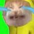Crying Banana Cat Meme Green Screen 10 Hours